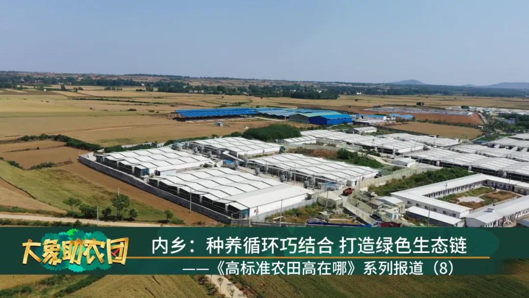 ���ߘ�(bi��o)��(zh��n)�r(n��ng)������ģ�����(n��i)�l(xi��ng)ƪ���N�B(y��ng)ѭ�h(hu��n)�ɽY(ji��)��������Gɫ���B(t��i)���